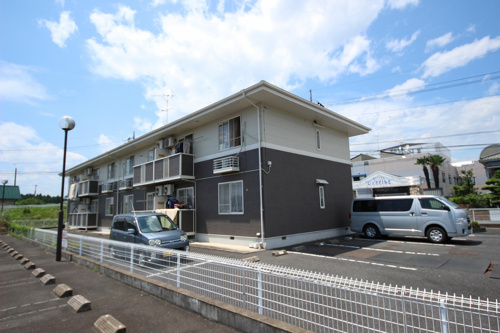 まだまだお正月気分ですねの画像