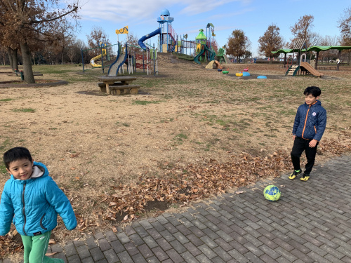 メリークリスマス。の画像