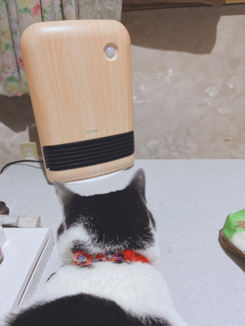 令和２年！の画像