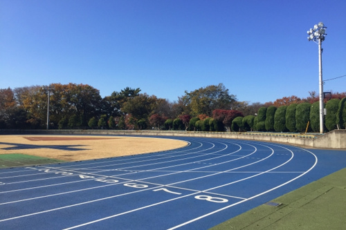 奈良県内で唯一国際大会が開ける「ならでんフィールド」について調べてみた。の画像