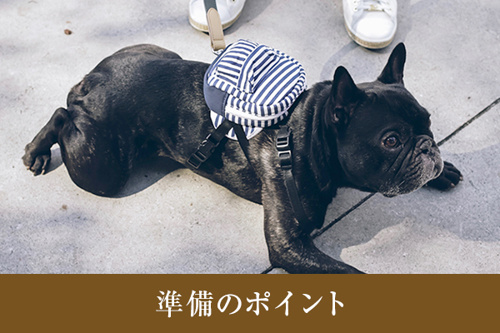 愛するペットとの暮らしを支えてくれる港区の動物病院情報4選 世田谷区の不動産は株式会社リードホーム