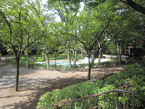 今日の公園～板橋区前野公園～の画像