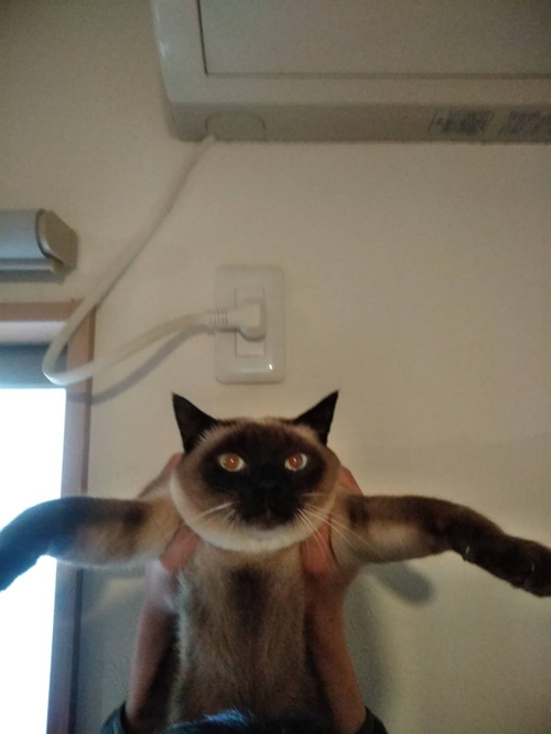 育児休暇について②の画像