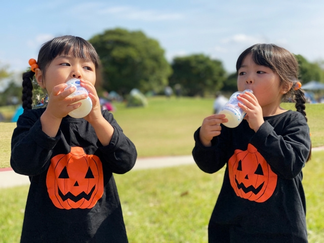 防災機能も備えた堺市西区の人気スポット 鳳公園で遊ぼう！の画像