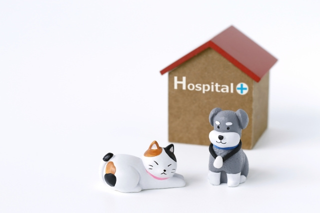 ペットにホームドクターは必要不可欠！大切な命を守る神栖市の動物病院2選の画像