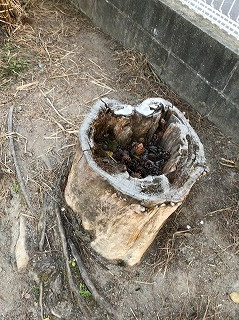 「秘密基地」の画像