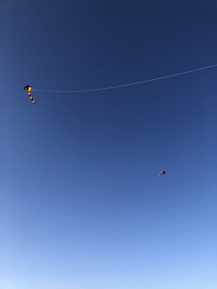 正月の凧揚げ 湘南でマンションなどの不動産売買なら湘南海辺不動産