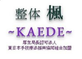 楓 Kaede 整体