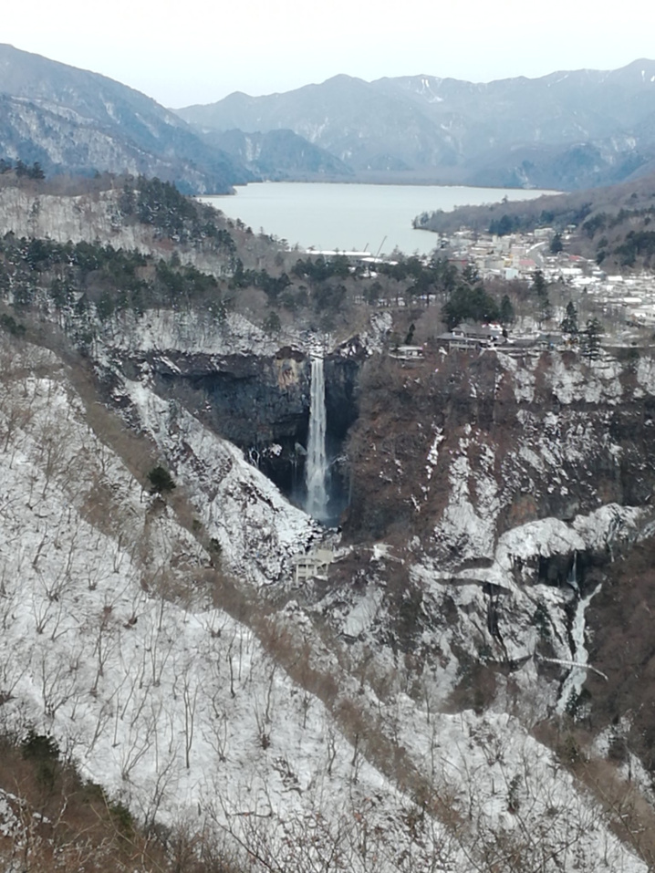 下から見るのか…横からみるのか…の画像