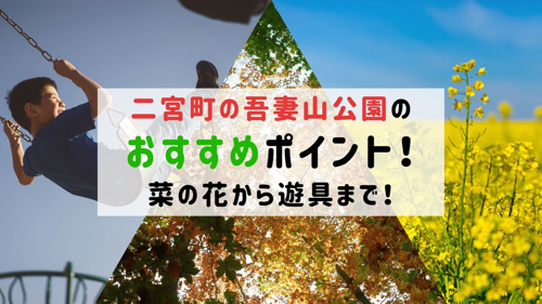 二宮町の吾妻山公園のおすすめポイント！菜の花から遊具まで！の画像