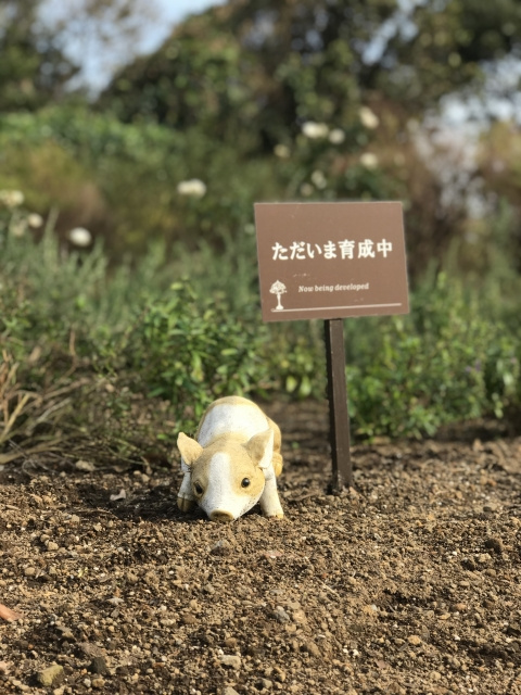 農地についての画像