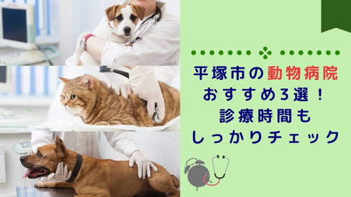 平塚市の動物病院おすすめ3選！診療時間もしっかりチェックの画像