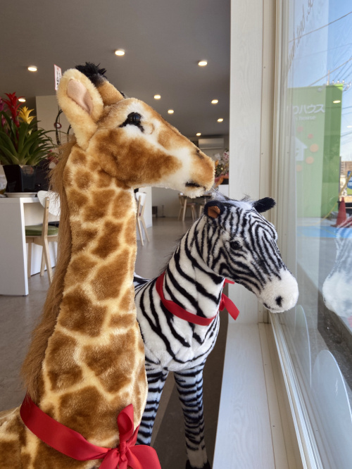 ひだまりおもちゃ達(*´ω｀*)の画像