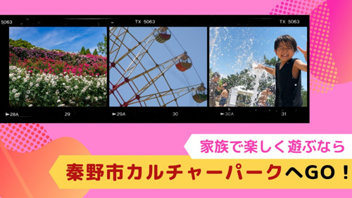 家族で楽しく遊ぶなら秦野市カルチャーパークへGO！の画像