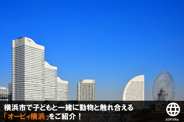 横浜市で子どもと一緒に動物と触れ合える「オービィ横浜」をご紹介！の画像
