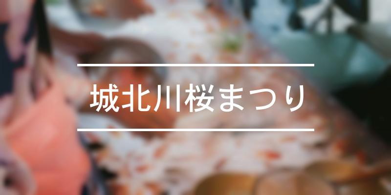 城北川　桜まつりの画像