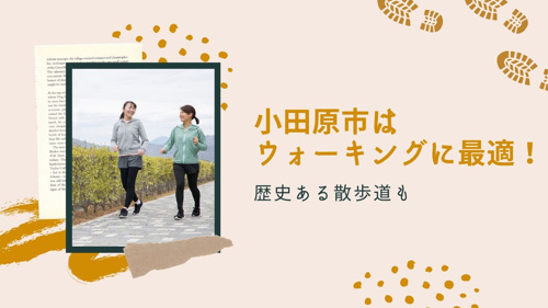 小田原市はウォーキングに最適！歴史ある散歩道もの画像