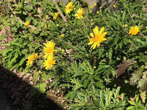 ☆３０番目の新駅登場☆の画像