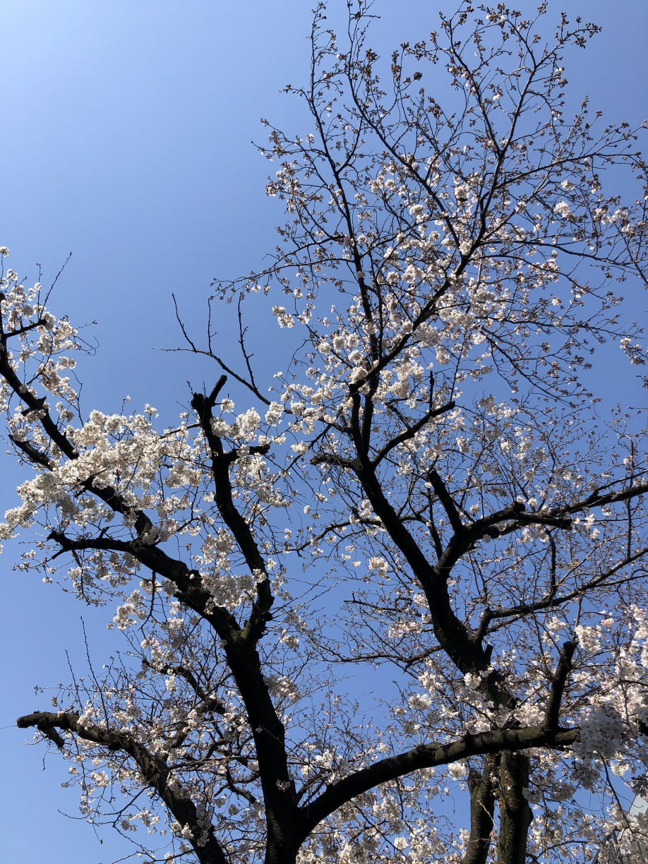 ３連休！！！の画像