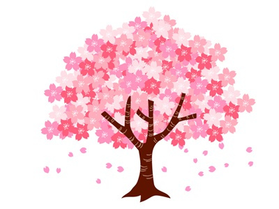 間もなく開花♬の画像