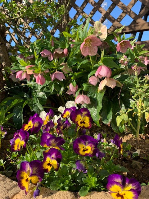 日高市 高麗川駅 徒歩1分　仲介手数料不要賃貸物件！？の画像