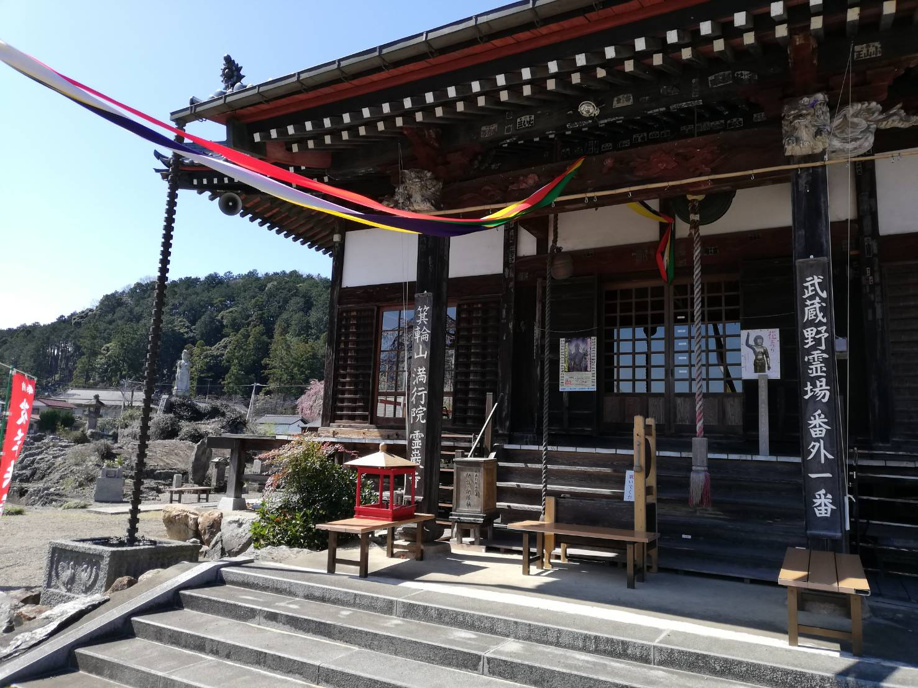 日高市霊巌寺のしだれ桜の画像