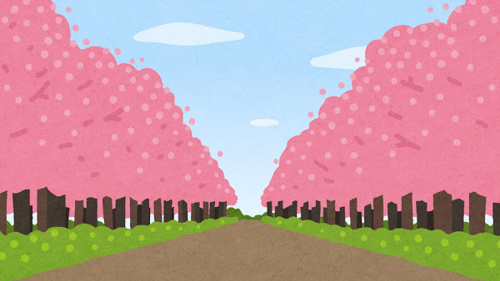美しすぎる桜並木情報✿の画像