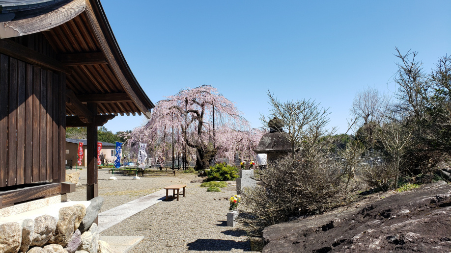日高市　新堀　霊巌寺②の画像
