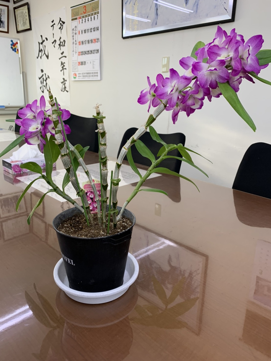 日高市高麗川中学校卒業とコロナと気分転換の秩父の画像