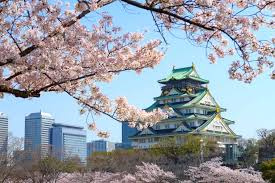 桜　大阪城公園の画像