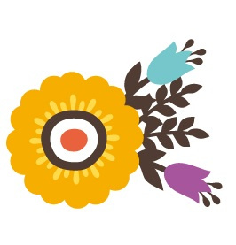 親不知を抜きましたの画像