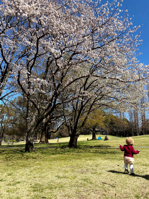 ピクニック♪の画像