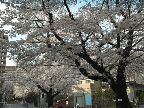 ♡心の世界を広げる良書に触れる機会に、、、の画像