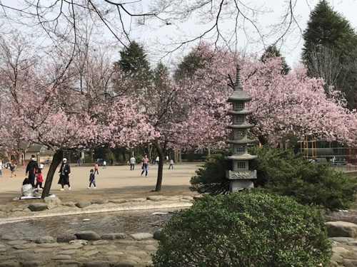 □◆西川家旧別邸蔵◆◇の画像