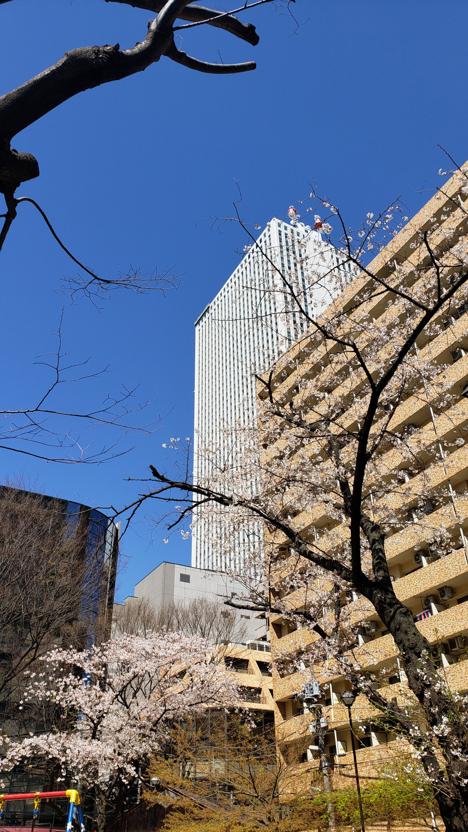 引っ越しの画像