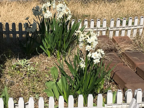 ♡好感度UP⤴♡２の画像