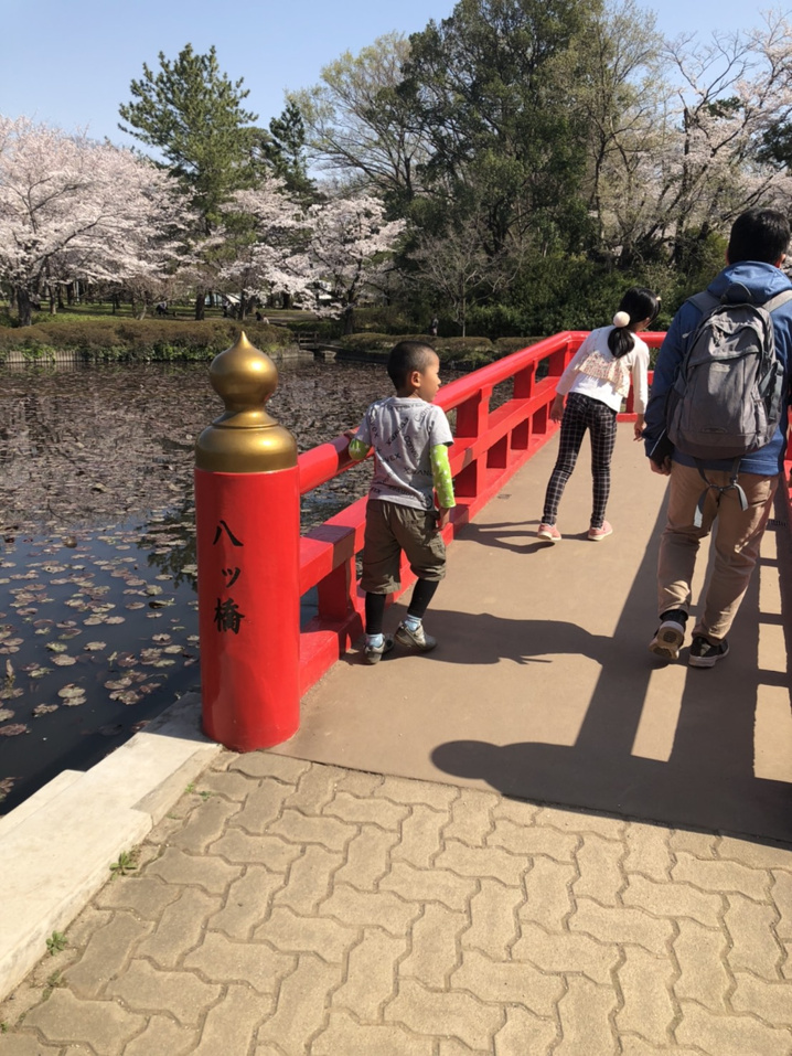 ４月６日：お花見の画像