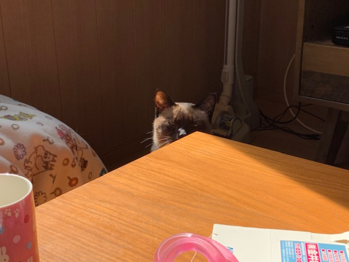 生活の安定と幸福度の画像