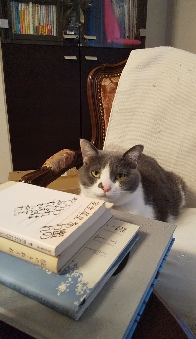 引きこもりのすゝめの画像