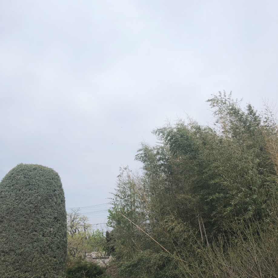 日高市北平沢　運動場の画像