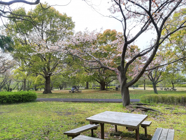 自然のある暮らし（2020.4.16）の画像