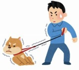 「8日間」の画像