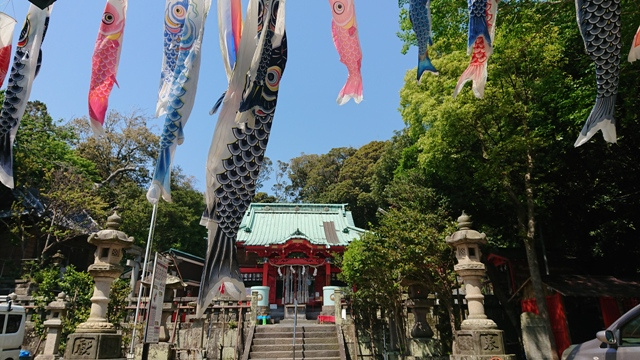 端午の節句の画像