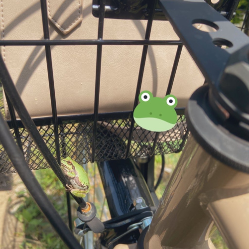 旅したいカエルくんの画像