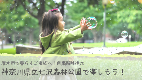 厚木市で暮らすご家族へ！自粛解除後は神奈川県立七沢森林公園で楽しもう！の画像