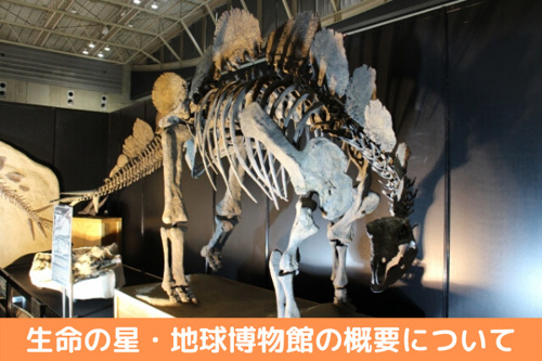 アフターコロナにいきたい小田原市にある 生命の星 地球博物館 の楽しみ方 リビングボイス