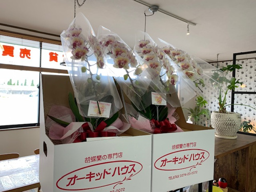 母の日の贈り物の画像