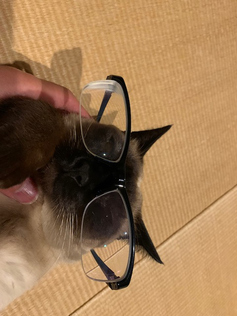 来客専用入口。の画像
