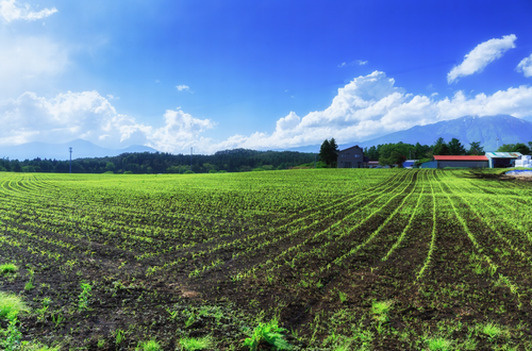 青地とは？白地とは？の画像
