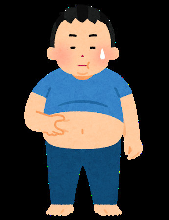 ダイエットはじめます(*^-^*)の画像